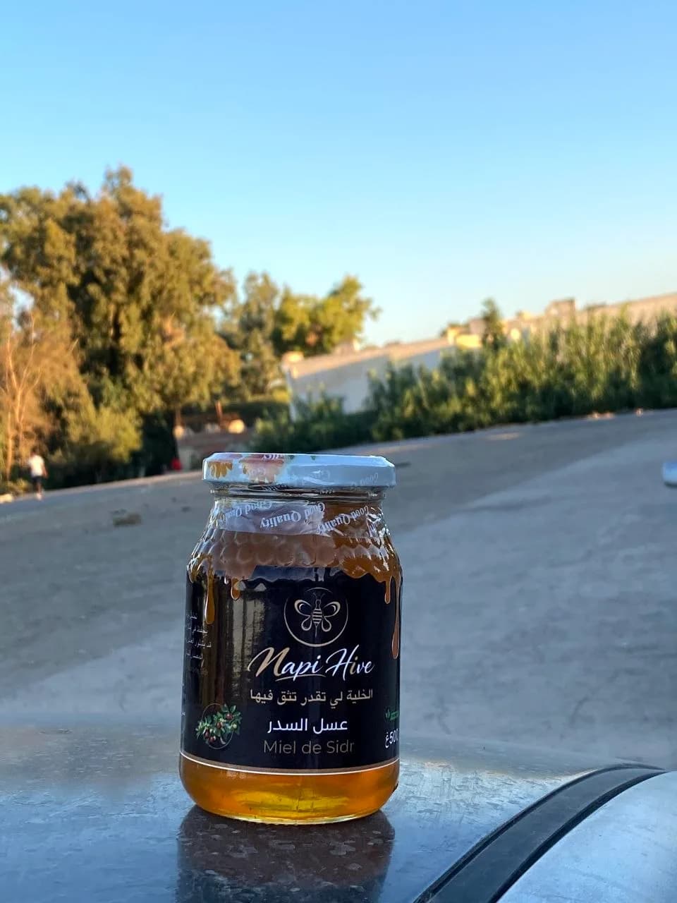 عسل السدر