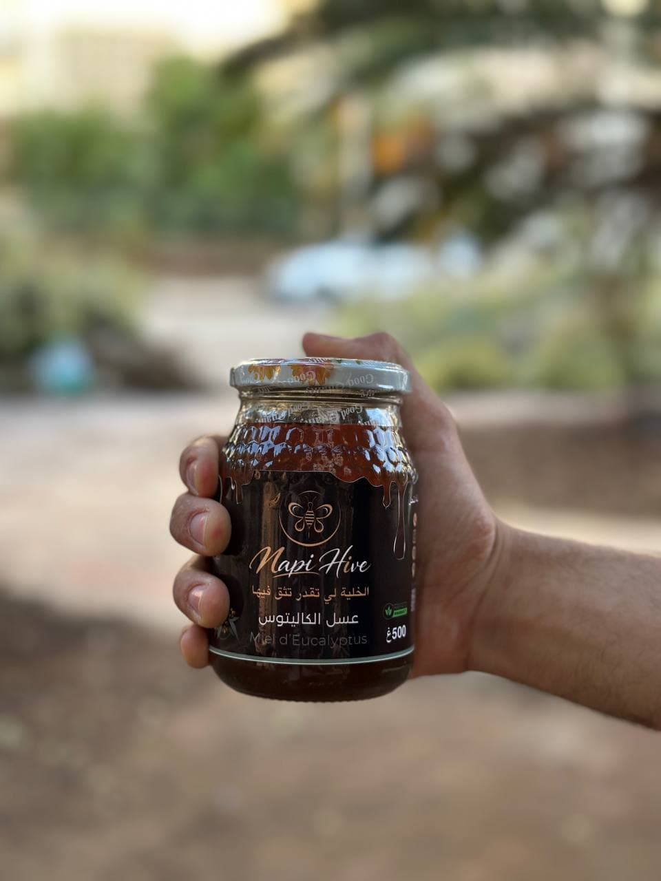 عسل الكاليتوس